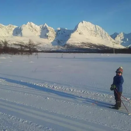Villaer Timber House In Lyngen