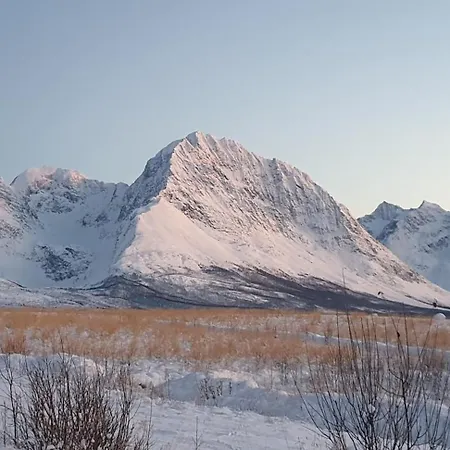 Timber House In Lyngen Jaegervatnet