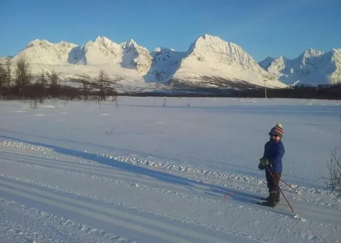 Vila Timber House In Lyngen